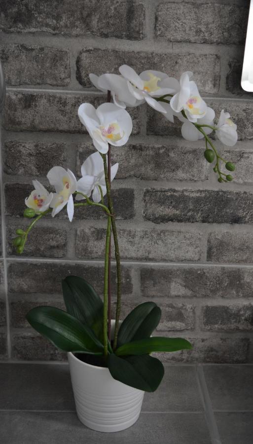Anezinas Place Apartment เปริสซา ภายนอก รูปภาพ